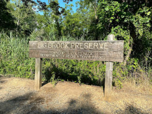 Big Brook Nature Preserve