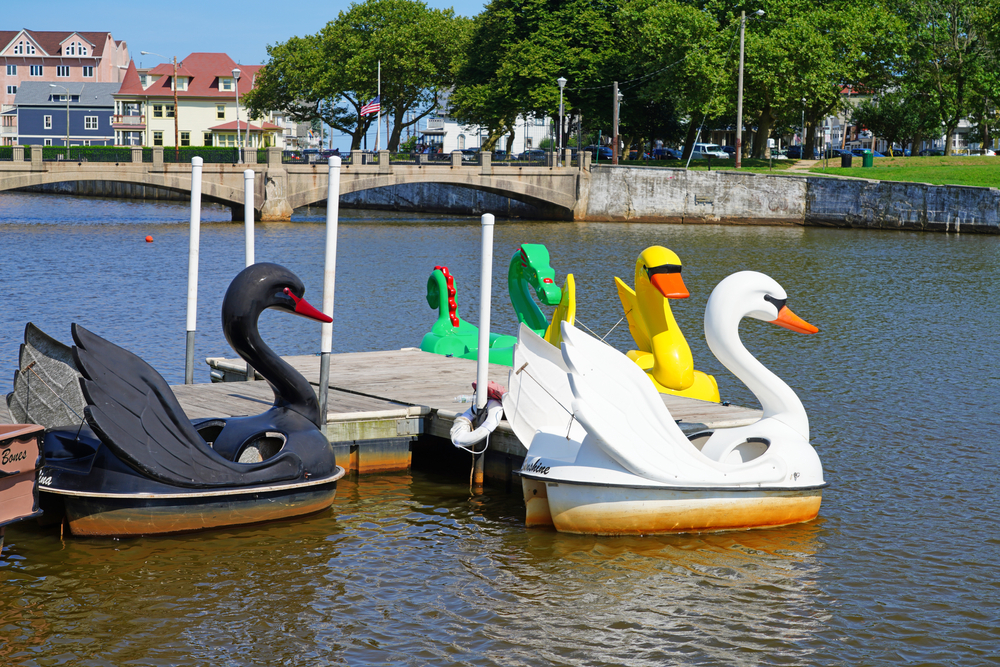 Swan Boats Asbury