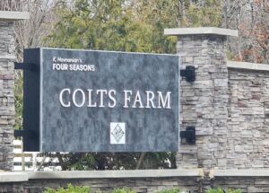 Four Seasons Colts Farm